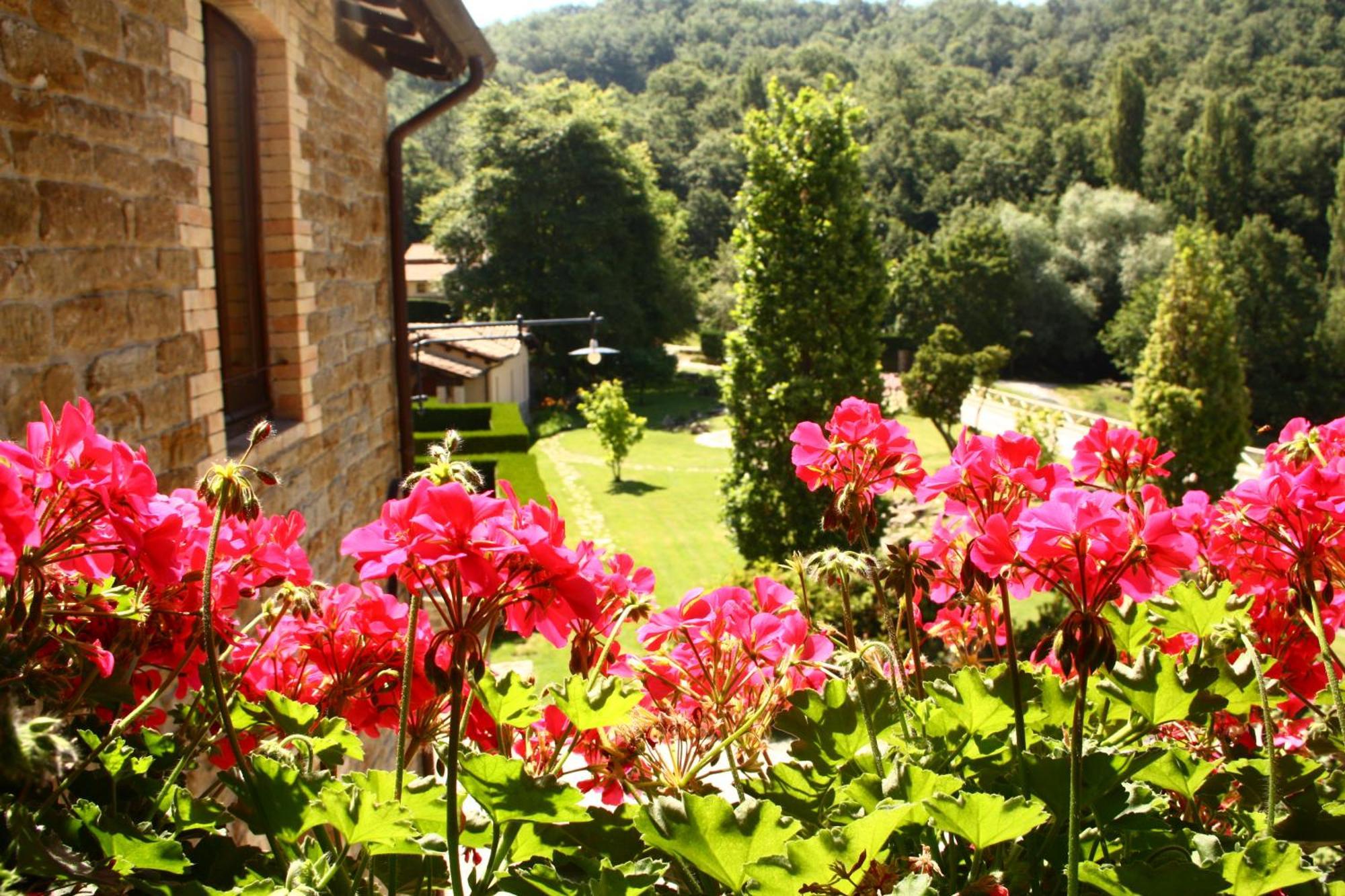 Agriturismo Le Case Asís Exterior foto